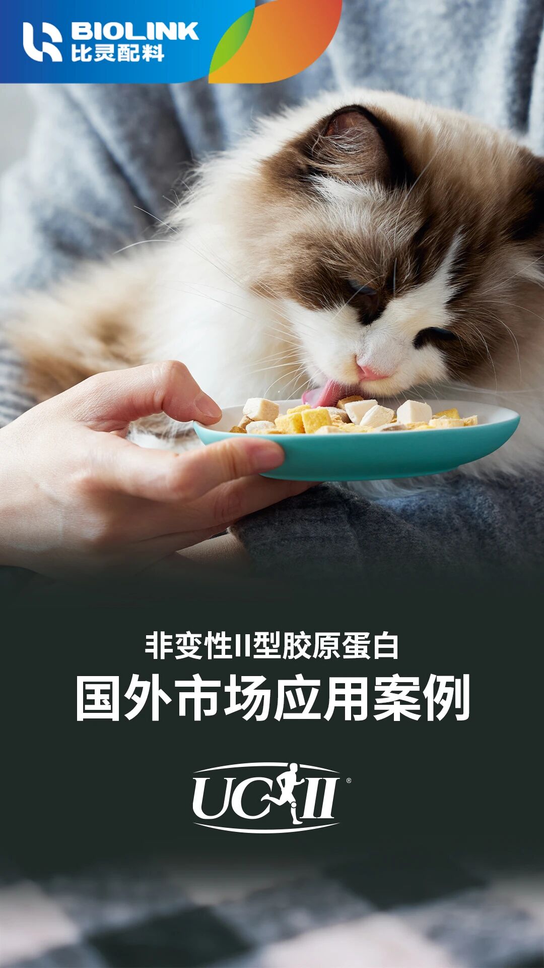 微信图片_2025-09-24_153451_360.jpg