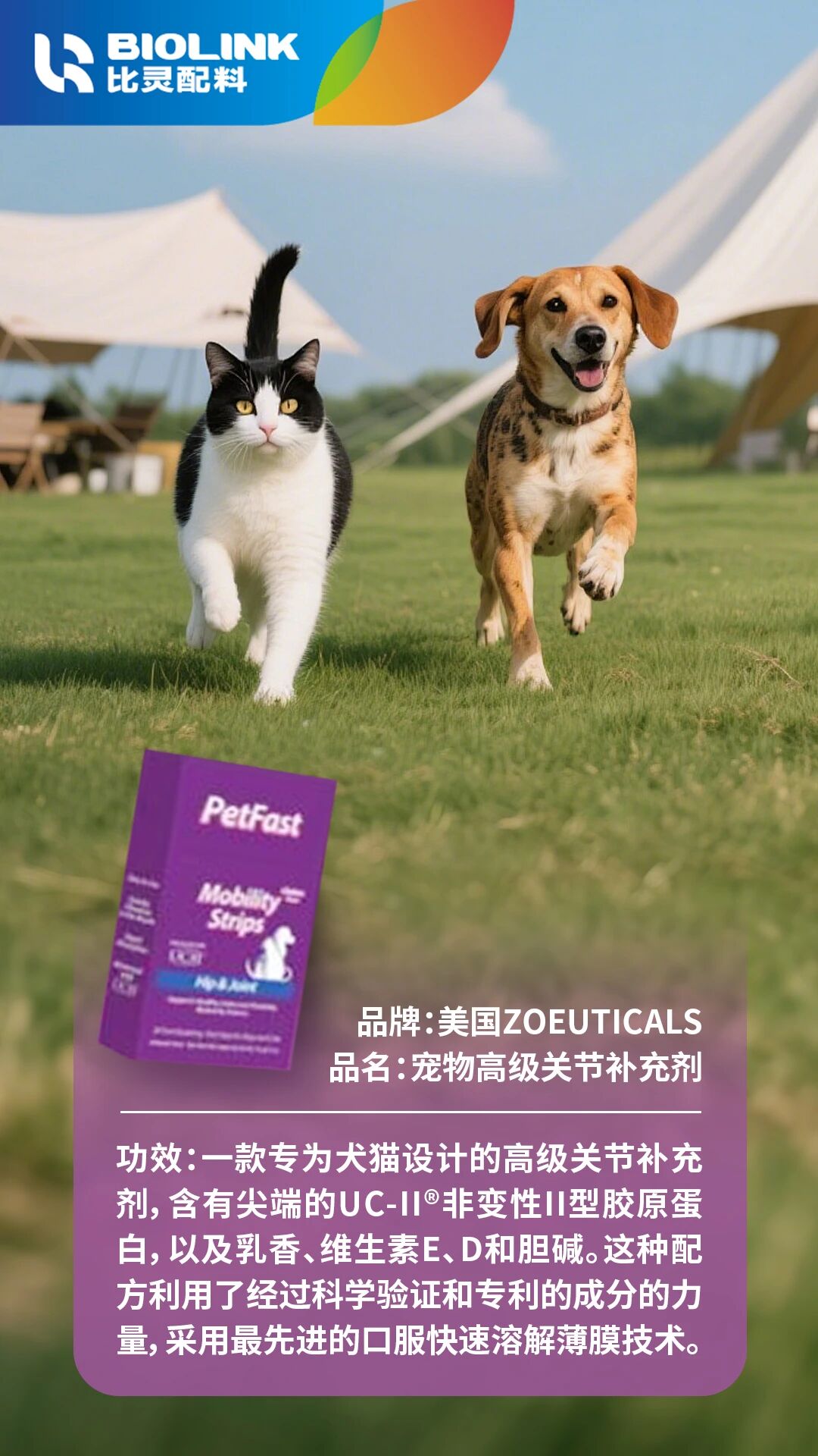 微信图片_2025-09-24_153517_698.jpg